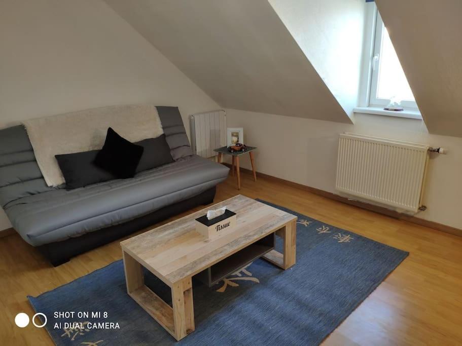 Joli Appartement Avec Place De Parking Prive Colmar Exterior foto